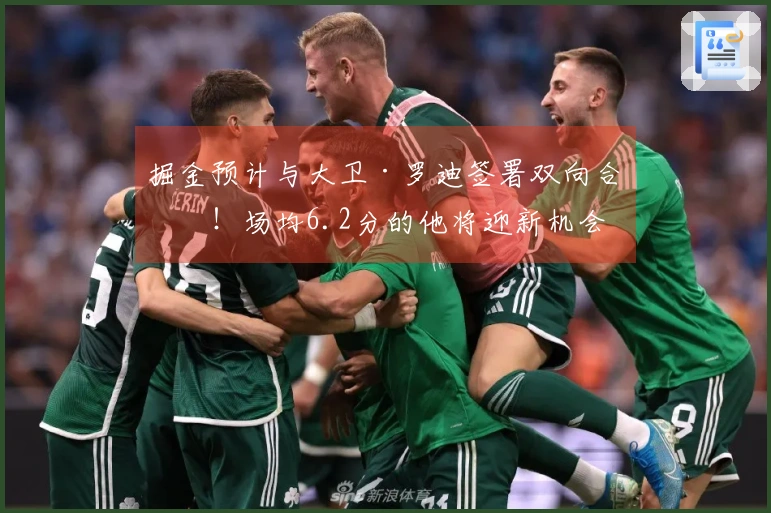 掘金预计与大卫·罗迪签署双向合约！场均6.2分的他将迎新机会